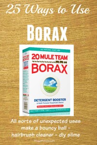 25 Ways To Use Borax (use what you have)